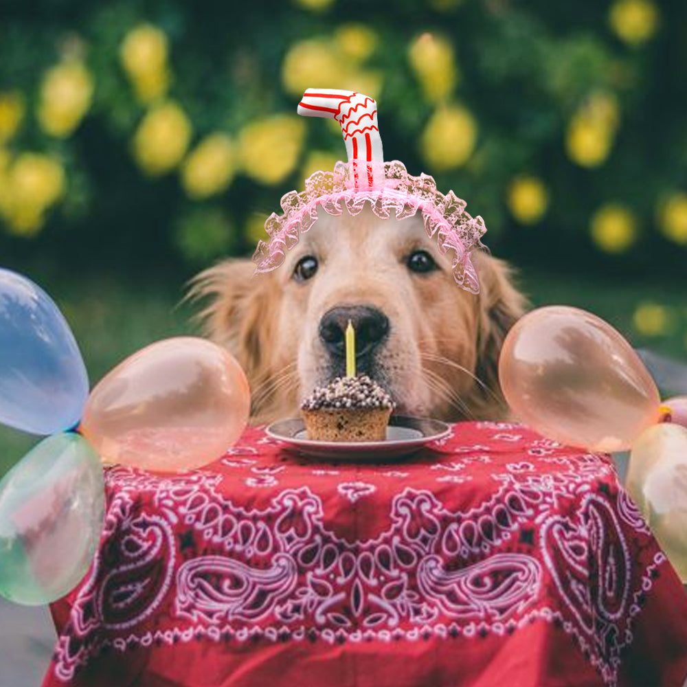 Lace Dog Hat Cap Pet Headwear Hats With Ear Holes Cute Straw Design Birthday Party Accessories