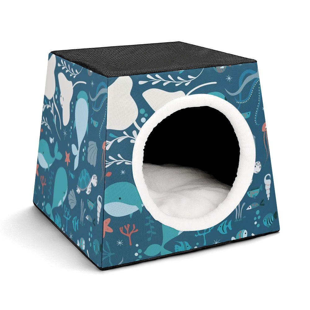 Capsule pet Waterloo